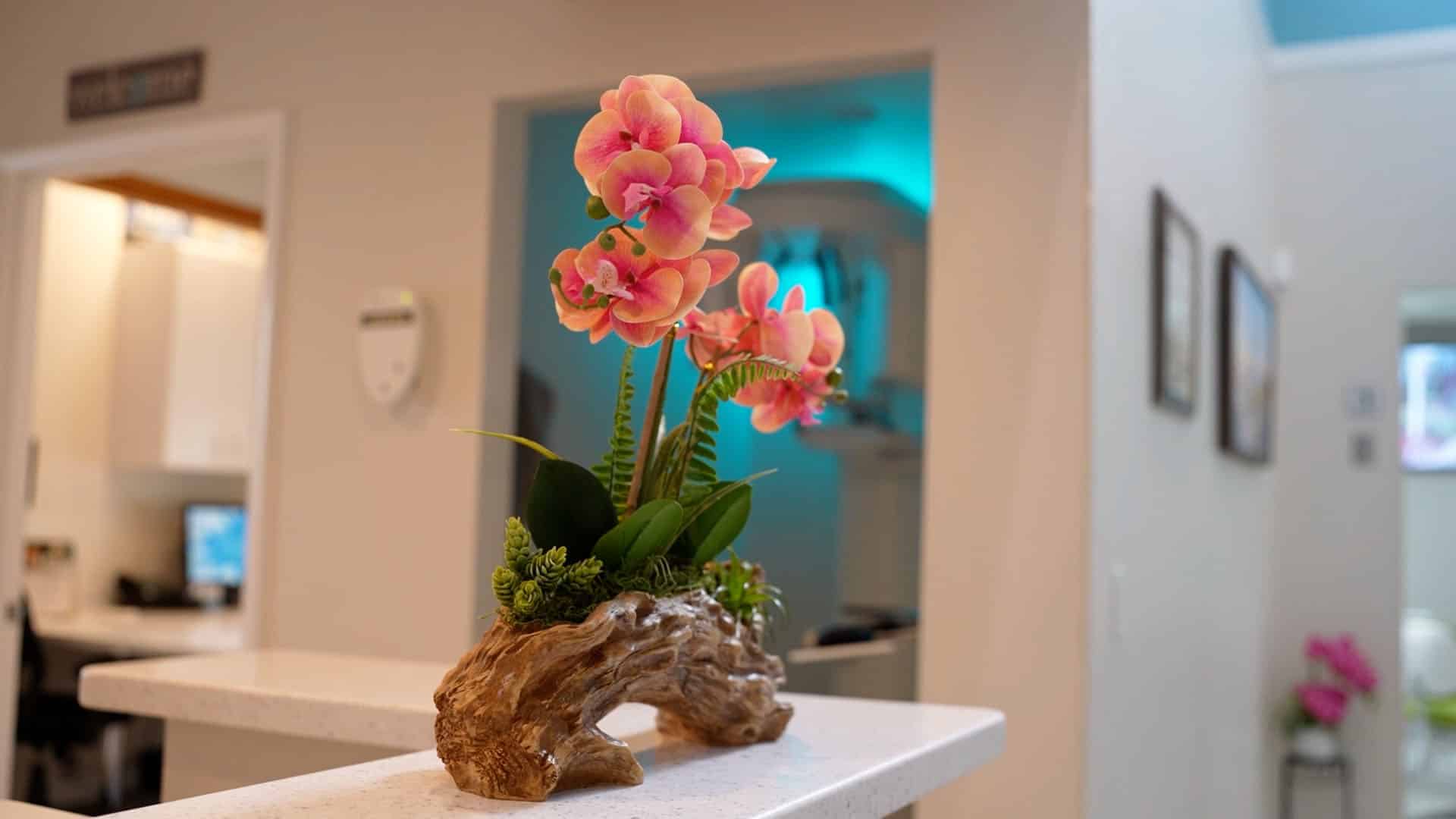 Desk flower stuart 29 1920x1080